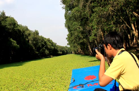 The Attraction of Tra Su Melaleuca Forest